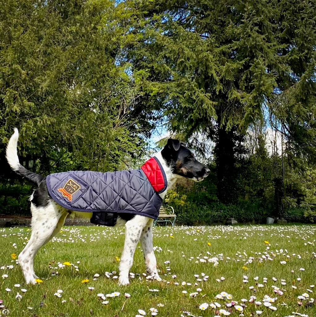 LISH London Elwin Coat