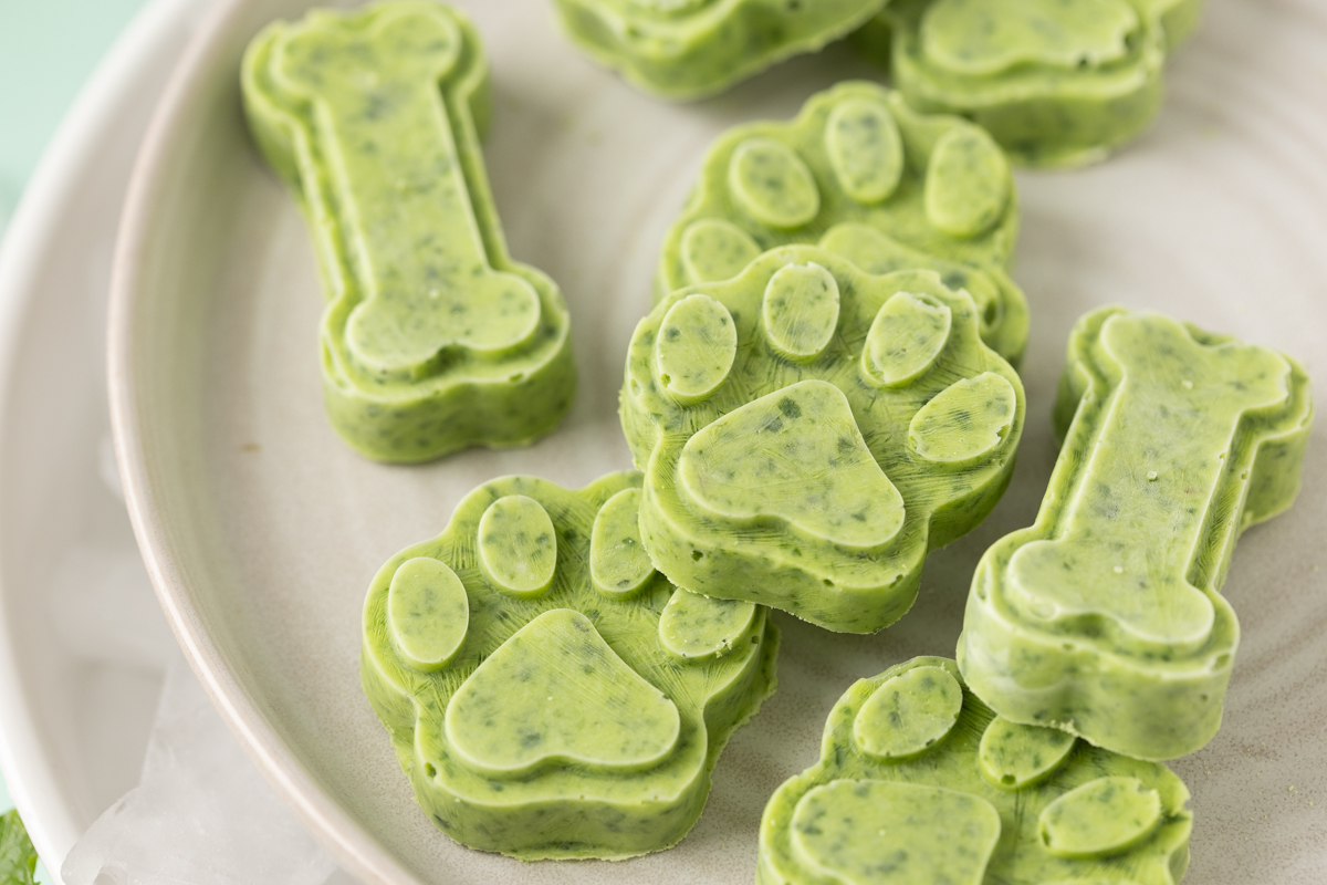 Coconut and fresh mint frozen treats